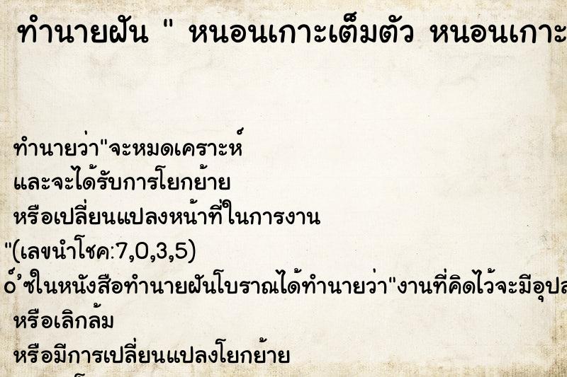 ทำนายฝันหนอนเกาะเต็มตัวหนอนเกาะเต็มตัว ทำนายฝันทำนายฝันหนอนเกาะเต็มตัวหนอนเกาะเต็มตัว